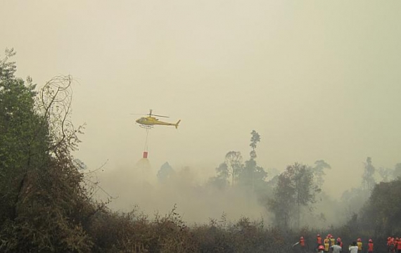 Bengkalis Perlu Tiga Heli Padamkan Api